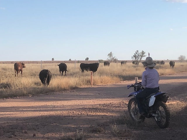 What is natural fall? #2 Four Daughters Newsletter