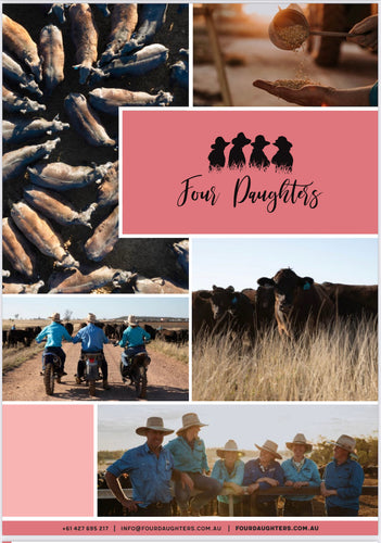 Four Daughters Capability Statement