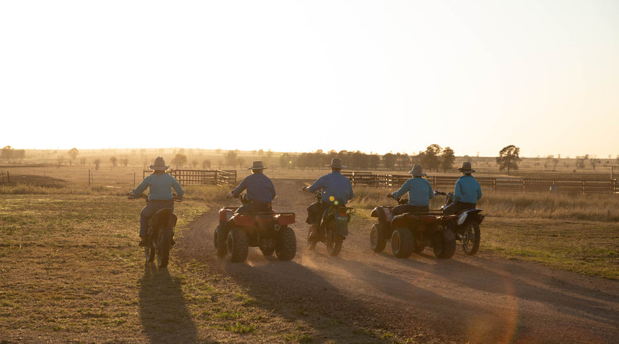 Newsletter #10 - Lifestyle - Yes or No?   Weaning Time!