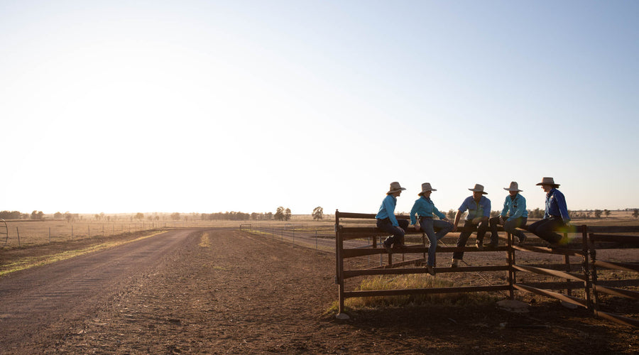 NEWSLETTER #9 -BEEF WEEK 2021, PESTS and how lucky are we to work and live in Queensland!