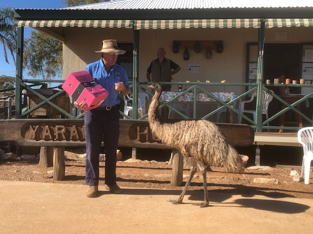 Why we do what we do! #1 Four Daughters Newsletter