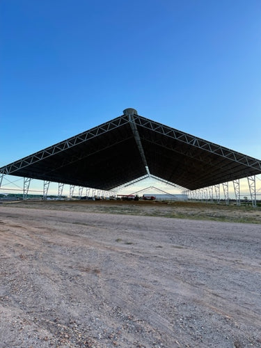 NEWSLETTER #16 - Have you been in bed with a mosquito? 50 000 screws?